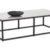 ellery coffee table front 1